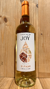 Domaine de Joÿ - Côte de Gascogne cuvée Saint André 2024