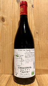 Côtes du Rhône Les Champauvins 2023